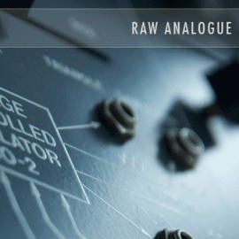 SoundsDivine Raw Analogue Series MULTiFORMAT