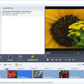 AVS Video ReMaker 6.2.3.228 Free Download