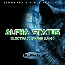 BigWerks Alpha Status for Electra X