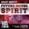 W.A.Production Future House Spirit WAV MIDI FXP FLP