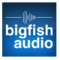 Big Fish Audio Country v1.0.0.3 for SONAR