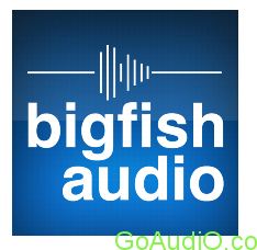 Big Fish Audio Electro Pop v1.0.0.3 for SONAR [WIN]