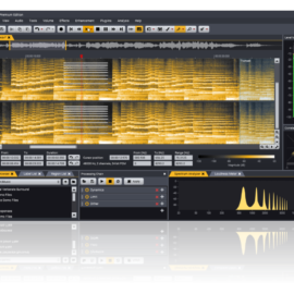 Acon Digital Acoustica v7.1.16 [WIN-MAC]