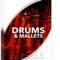 Sonex Audio Drums and Mallets KONTAKT