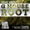 W.A.Production G House Root WAV MIDI FXP FLP