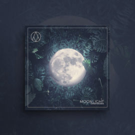 Angelicvibes Moonlight Omnisphere Bank