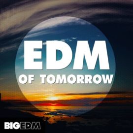 Big EDM EDM Of Tomorrow WAV MIDI FXB SBF