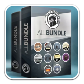 Black Rooster Audio Plugin Pack 2.4.1 [WIN]