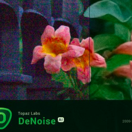 Topaz DeNoise AI 1.2.0 Free Download