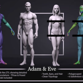 Basemesh Set – Adam & Eve 3D Models