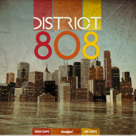 BeatPPL District 808 WAV