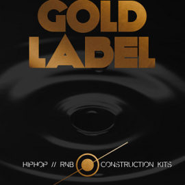 Big Fish Audio Gold Label: Hip Hop and RnB KONTAKT