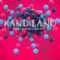 Big Fish Audio Kandiland: EDM Construction Kits KONTAKT