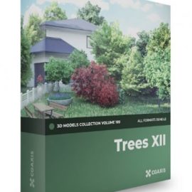 CGAxis – Volume 109 – Trees 3D Models Collection Free Download