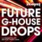 Incognet Future G-House Drops