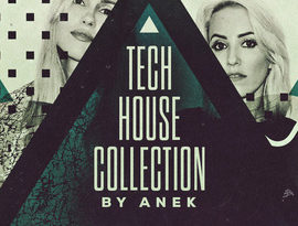 Loopmasters Anek The Tech House Collection WAV REX