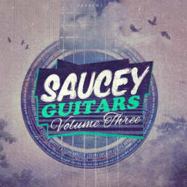 Julez Jadon Saucey Guitars Vol.3 WAV