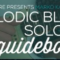 Truefire Marko Karhu’s Melodic Blues Soloing Guidebook TUTORiAL