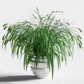 Bouquet of grass Free Download