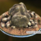 Rocks pack 3D model Free Download