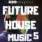 Audentity – Future House Music 5 WAV MiDi FXP