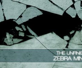 The Unfinished Zebra Minima