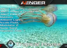 Vengeance Sound Avenger Expansion pack Tropical House