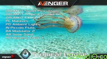 Vengeance Sound Avenger Expansion pack Tropical House