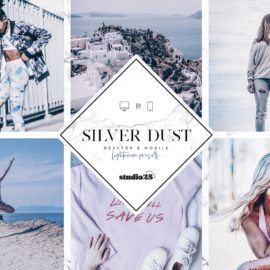 CreativeMarket 2 Silver lightroom presets 4007319 Free Download