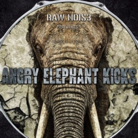 RawNois3 Angry Elephant Kicks WAV