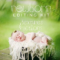 Newborn Editing Kit Photoshop Actions and Textures Free Download