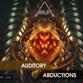 IRRUPT Audio Auditory Abductions WAV