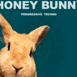 Honey Bunny Progressive Techno WAV