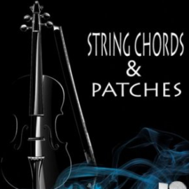 HOOKSHOW String Chords and Patches WAV