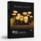 DrumDrops Memphis Soul Kit All Samples Pack MULTiFORMAT