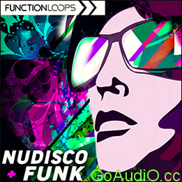 Function Loops – Nu-Disco & Funk with Live Guitars Wav