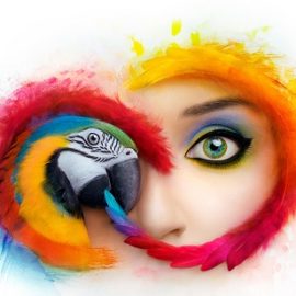 Adobe Creative Cloud Collection CC 2020 [Mac OS X]