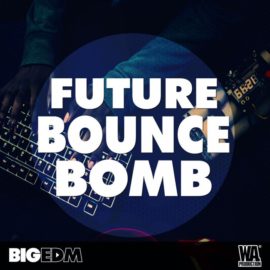 Big EDM Future Bounce Bomb WAV SYLENTH1 SPiRE MASSiVE PRESETS