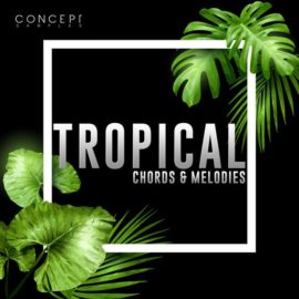 Concept Samples Tropical Chords and Melodies WAV