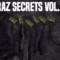 RAZ Sectrets VOL.1 WAV FLP