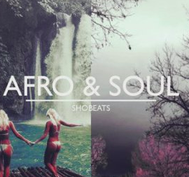 Shobeats Afro And Soul WAV MiDi SYLENTH1 PRESETS