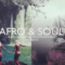 Shobeats Afro And Soul WAV MiDi SYLENTH1 PRESETS