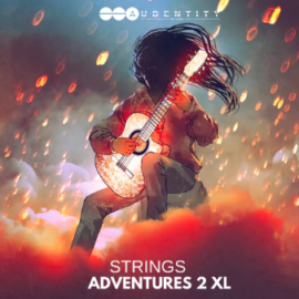 Audentity Records Strings Adventures Vol.2 XL WAV