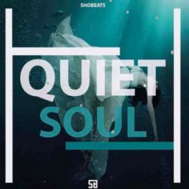 Shobeats Quiet Soul WAV MiDi SYLENTH1 KONTAKT NEXUS OMNiSPHERE PRESETS