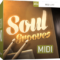 Toontrack Soul Grooves MiDi WiN MAC