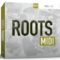 Toontrack Roots MiDi [WIN-MAC]