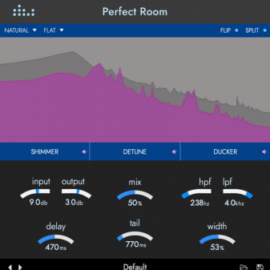 Denise Perfect Room v1.0.0 [WIN-MAC]