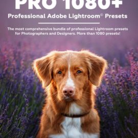 PRO 1080+ | Professional Adobe Lightroom Presets Download