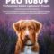 PRO 1080+ | Professional Adobe Lightroom Presets Download