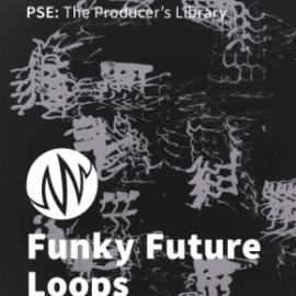 PSE The Producer’s Library Funky Future Loops WAV